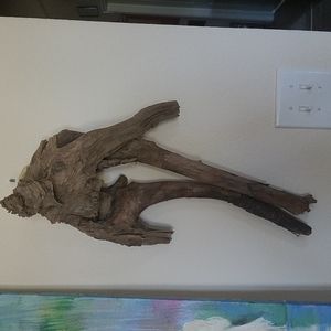 THE DANCERS, one of a kind